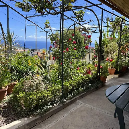 Holiday home Chinchilla's House Madeira Style Funchal (Madeira)
