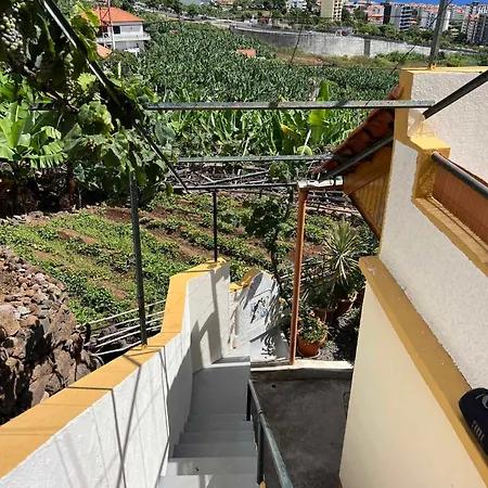 Prázdninový dům Chinchilla's House Madeira Style